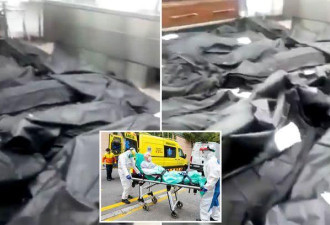 西班牙护士拍自己在尸体袋间行走视频