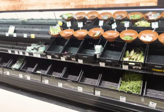 天价！为什么澳洲蔬菜现在这么贵？
