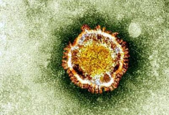专家揭恐怖真相：新冠病毒可在治愈者体内复活
