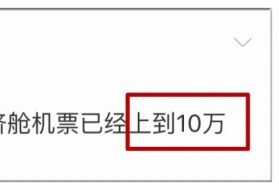 一张「30万」天价回国机票的诞生