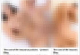 黑客入侵网课发色情图片 并要求学生裸露