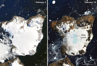 南极创有史以来最高温纪录 恐引发生态浩劫