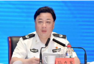 中国公安部副部长孙力军落马，谁是推手？