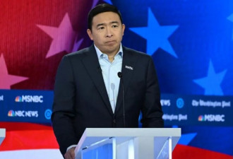 杨安泽的专栏文章与美国华裔的两难