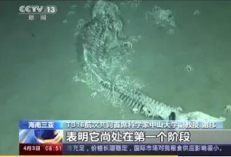 在中国南海,发现了一具尸体,背后藏着大秘密