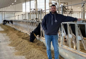 疫情之下：加拿大奶农不得不倒掉牛奶