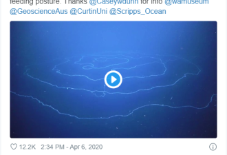47米长神秘生物见过么！深海猎食画面曝光