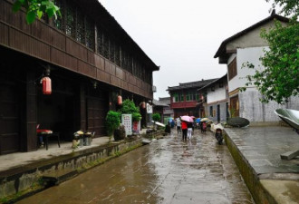 中国一座低调的古镇 却因一棵千年古树出名