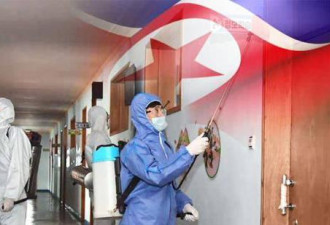 朝鲜抗疫：难以模仿的东亚“奇迹”