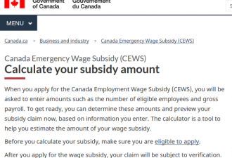 加拿大工资补贴下周一开放申请  网上有计算器