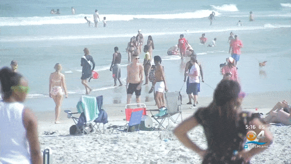 作死！4万美国人涌入海滩避暑！