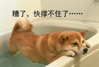 没有收入，人在境外，房租无法承受？