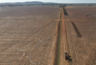 澳洲或将缺大米？小麦种植者2年无水分配