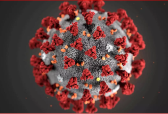 李兰娟新论文:病毒出现新突变 或影响疫苗研发