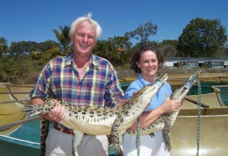 澳夫妻养3千头鳄鱼,疫情无食喂养,呼吁众筹领养