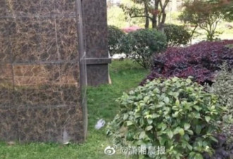 37岁海归女博士携女跳楼自杀：我不想死