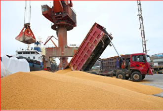 中国连续三日购美国大豆 一周买下60.6万吨