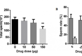 瑞德西韦小鼠实验有生殖毒性 严重影响精子