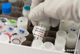 英国疫苗首次人体试验将于下周开始