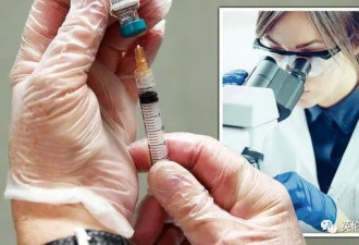 英国疫苗首次人体试验将于下周开始
