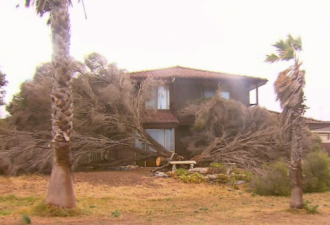 超级风暴袭击珀斯 5万多户家庭断电！
