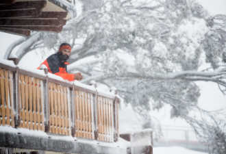 澳山区下大雪，雪场经营者却笑不出来了