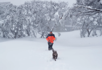 澳山区下大雪，雪场经营者却笑不出来了