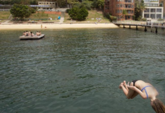 东悉尼议会重开这些海滩 但仅供“即游即走”