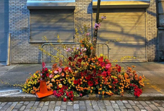 凌晨4点，全纽约的垃圾桶都开满了鲜花