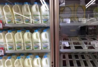 澳洲将面临“奶荒” 奶农人数持续下降！