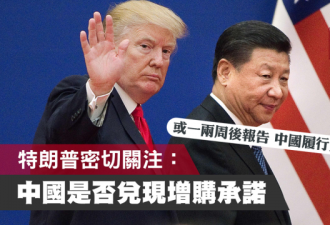 特朗普:或一两周后报告中国履行贸易协议情况