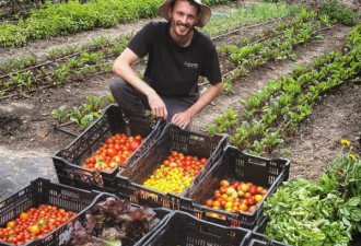 澳小哥种菜成“大户”，承包土地扩展业务！