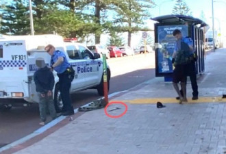 澳洲男孩试图劫车并用斧头砍伤警察