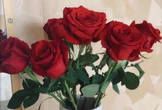 哈文为李咏庆52岁冥生：6朵玫瑰花表思念之情