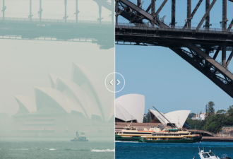 疫情当前民众出行减少,悉尼空气质量逾2年最佳