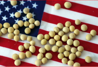 中国持续大批购买美国大豆