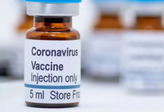 如果一直没有新冠疫苗，那么澳洲会是什么样子