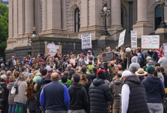 澳首席医疗官怒斥CBD抗议者，要求追责