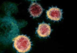 加拿大与国际伙伴发起冠状病毒全球应对行动