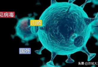 川崎病？科学家正在研究和新冠病毒是否有关