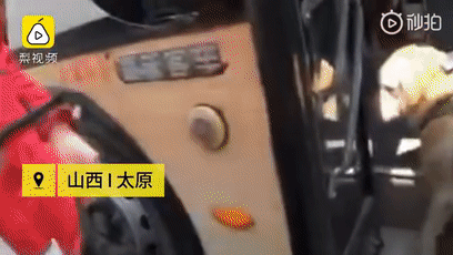 交警扮盲人坐公交被赶，导盲犬被骂哭 公交回应