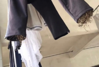 【爆笑】忘记关麦，和我妈一起吐槽老师