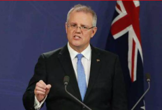 澳洲总理：病毒最有可能来自中国野生动物市场