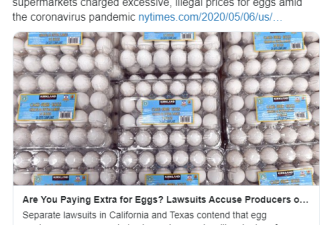 美国两大超级州起诉鸡蛋生产销售商
