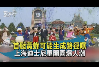 上海迪士尼重开多数游客戴口罩 入园人数爆棚