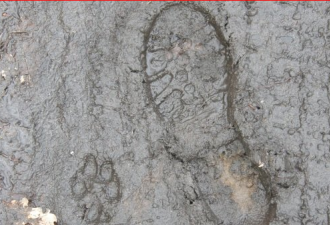 墨西哥惊现人类脚印化石 具有130万年历史