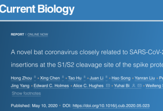 中国团队发现新蝙蝠冠状病毒 新冠起源于自然