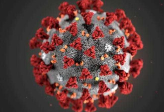 新冠病毒已异变 传染力更毒 不排除二次感染