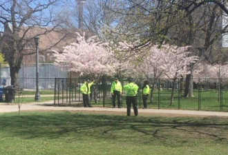 热议：政府禁入公园 执法者却在赏花拍照？！