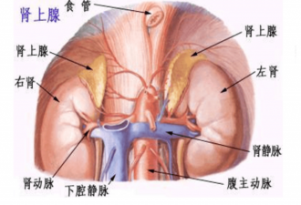 22岁小伙以为“被鬼打”，身体越变越黑，